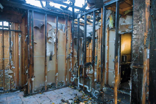 Professional Fire Damage Removal technician working in White Marsh, MD